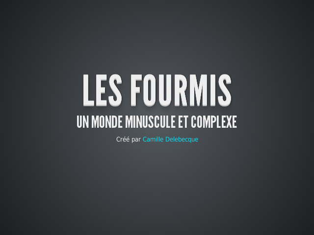 Les fourmis – Un monde minuscule et complexe