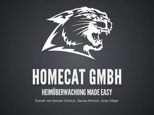 HomeCat GmbH – Heimüberwachung Made Easy