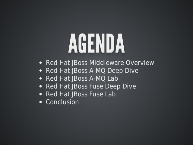 Agenda – CIO's Alternative