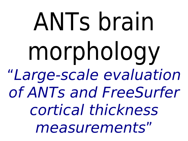 ANTspower tools for neuroimaging –  – Background