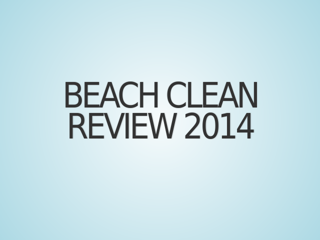 Beach Clean Review 2014