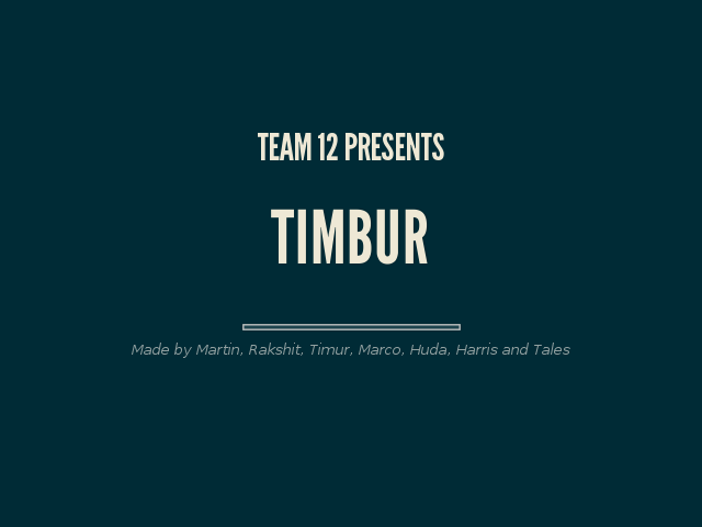 Team 12 presents – Timbur – Product