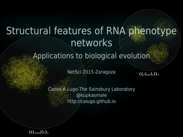 Structural features of RNA phenotype networks – Applications to biological evolution – Biological Evolution