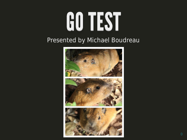 Testing in Go – Benchmarking in Go – Coverage Analysis in Go