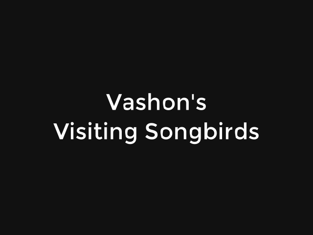 Vashon's
Visiting Songbirds – The 5 Ws of Bird Identification – Rufous Hummingbird