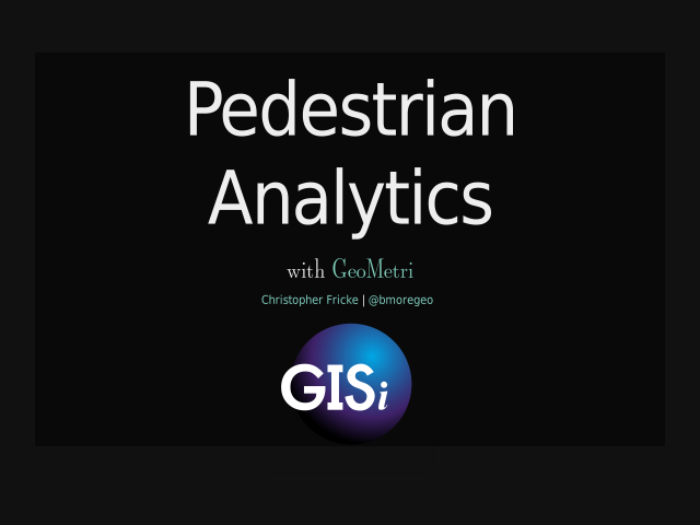 Pedestrian Analytics