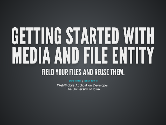 Getting started with Media and File entity – Field your files and reuse them. – Two modules
